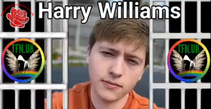 Harry Williams