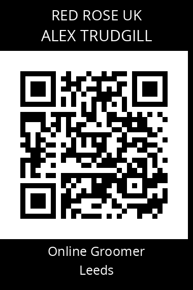 QR code for Alextrudgill