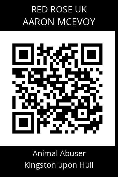QR code for aaron-mcevoy