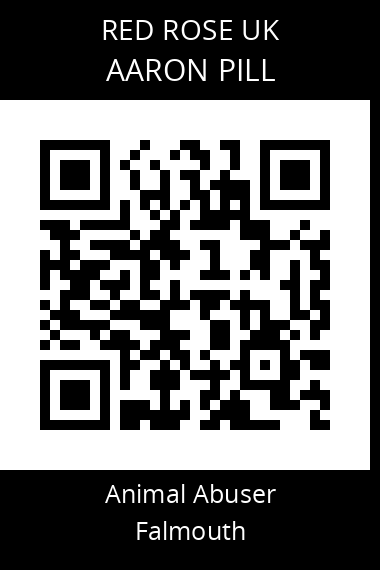 QR code for aaron-pill