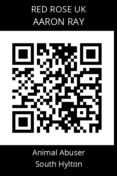 QR code for aaron-ray