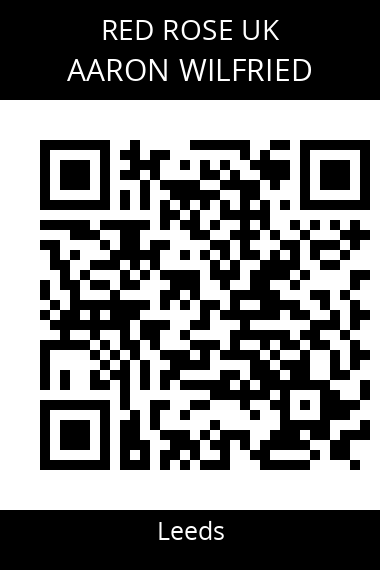 QR code for aaron-wilfried-b8k3sx