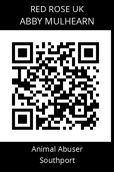 QR code for abby-mulhearn