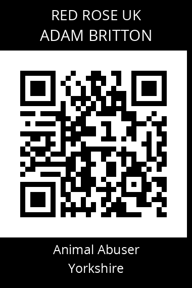QR code for adam-britton