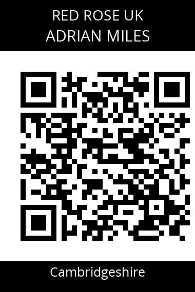 QR code for adrian-miles-ehfasn