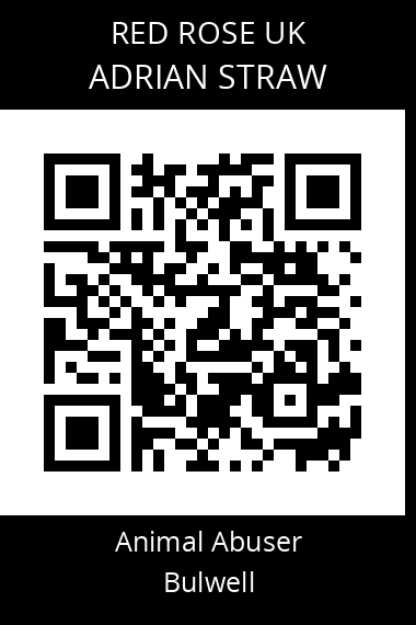QR code for adrian-straw