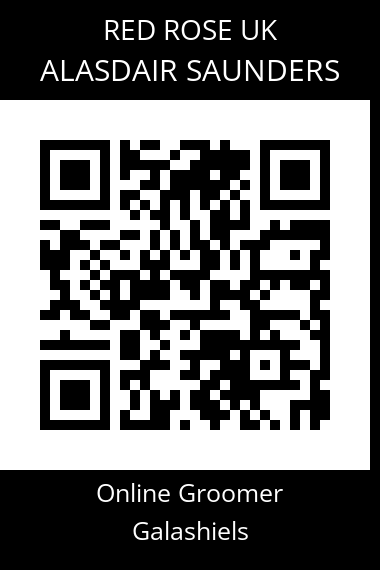 QR code for alasdair-saunders