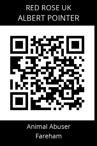 QR code for albert-pointer