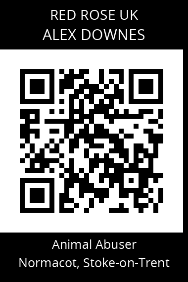 QR code for alex-downes