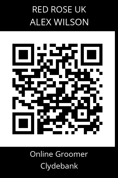 QR code for alex-wilson-3