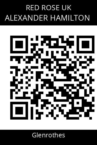 QR code for alexander-hamilton-5