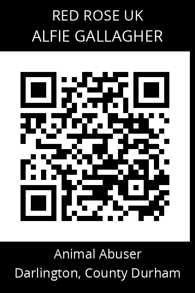 QR code for alfie-gallagher