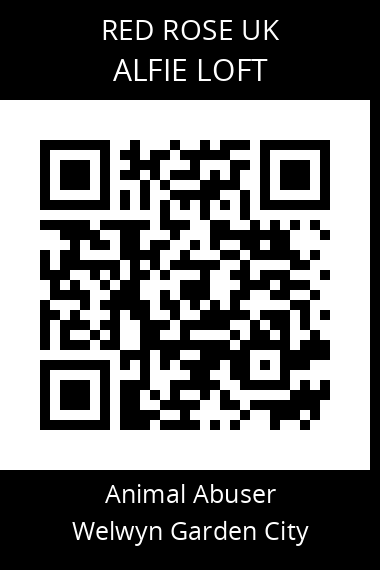QR code for alfie-loft