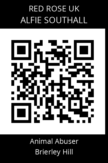 QR code for alfie-southall