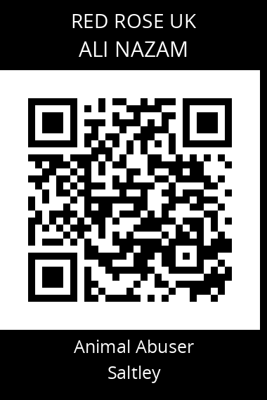 QR code for ali-nazam