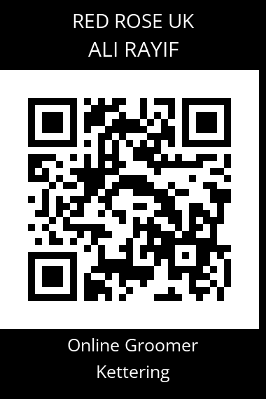 QR code for ali-rayif