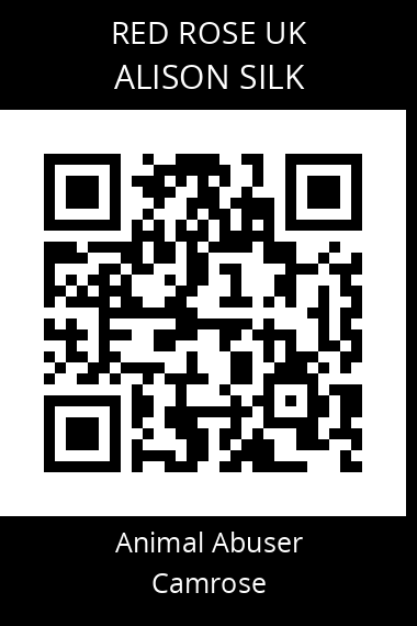 QR code for alison-silk
