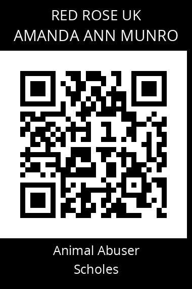 QR code for amanda-ann-munro