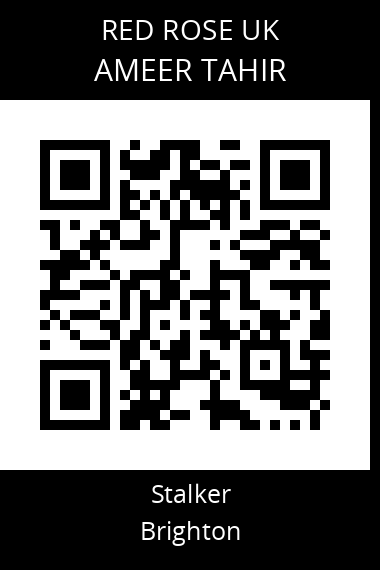 QR code for ameer-tahir