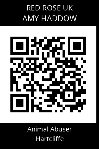 QR code for amy-haddow