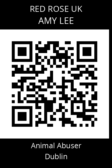 QR code for amy-lee
