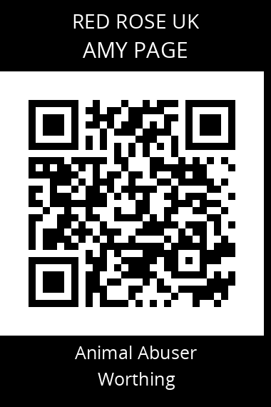 QR code for amy-page-1