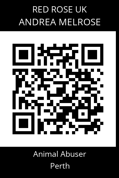 QR code for andrea-melrose