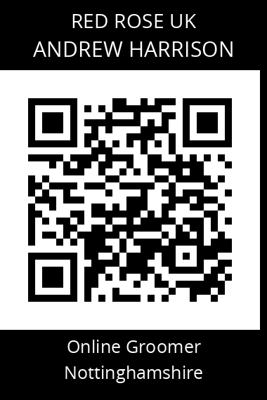 QR code for andrew-harrison