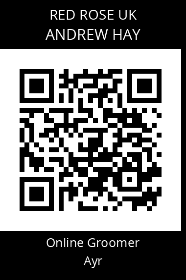 QR code for andrew-hay