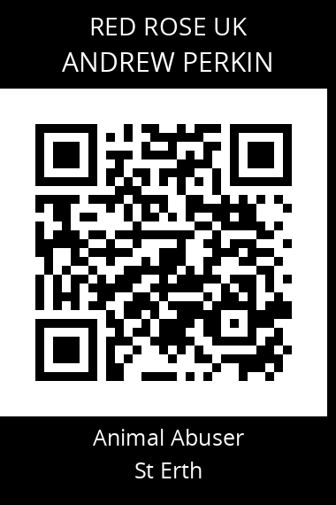 QR code for andrew-perkin
