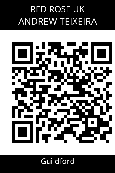 QR code for andrew-teixeira-mik9he