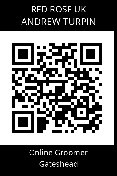 QR code for andrew-turpin-1