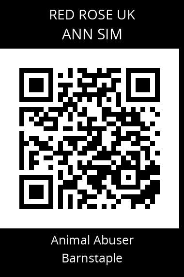 QR code for ann-sim