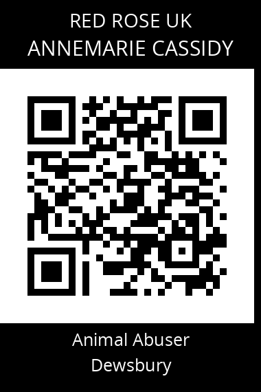 QR code for annemarie-cassidy