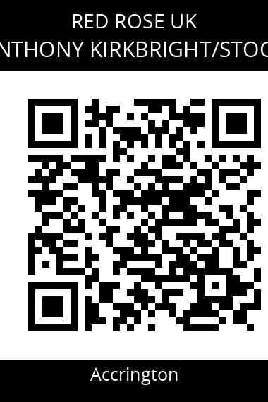 QR code for anthony-kirkbrightstock