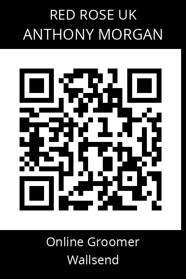 QR code for anthony-morgan-4