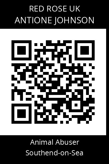 QR code for antione-johnson