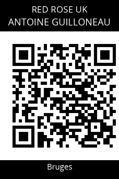 QR code for antoine-guilloneau