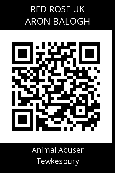 QR code for aron-balogh