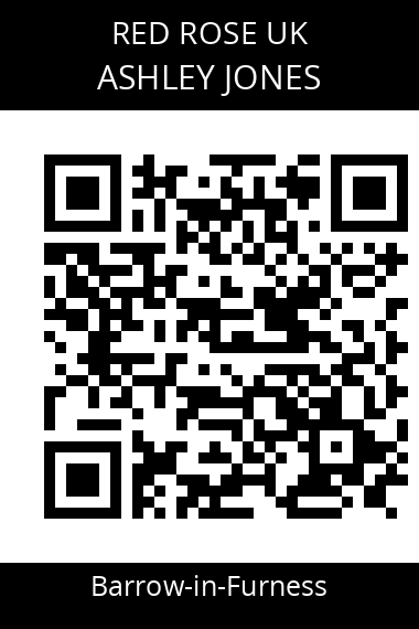 QR code for ashley-jones-bxo1l3