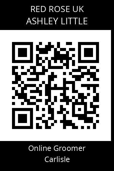 QR code for ashley-little