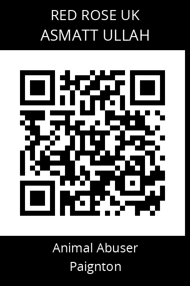 QR code for asmatt-ullah