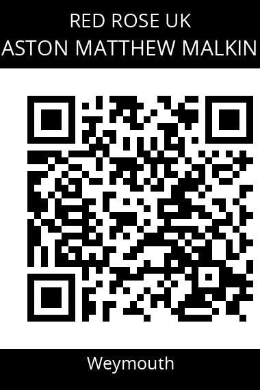 QR code for aston-matthew-malkin