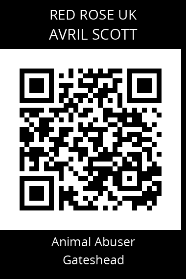 QR code for avril-scott