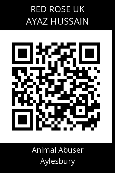 QR code for ayaz-hussain