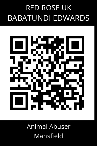 QR code for babatundi-edwards