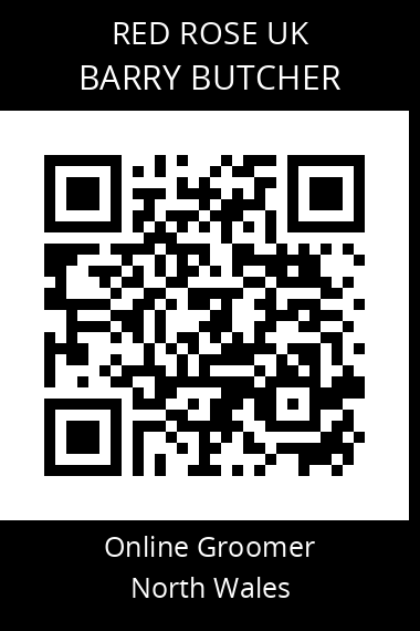 QR code for barry-butcher