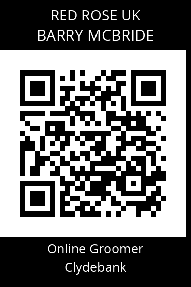 QR code for barry-mcbride