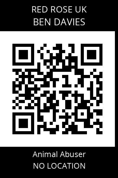 QR code for ben-davies