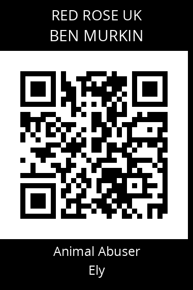 QR code for ben-murkin